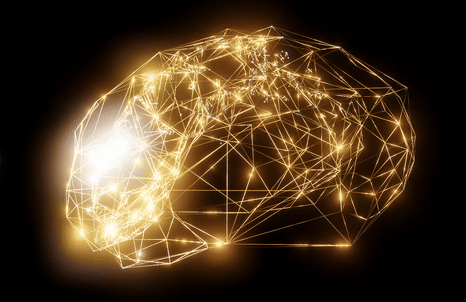 Double Their Synaptic Architecture